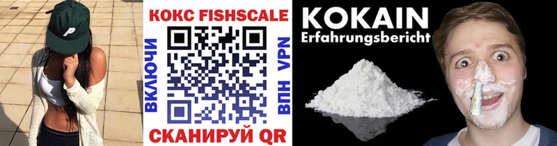 как найти   Заозёрный  маркетплейс клад  Cocaine Fish Scale 