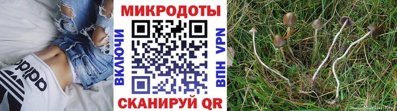 даркнет сайт  Заозёрный  ссылка на мегу рабочий сайт  Псилоцибиновые грибы мухоморы 